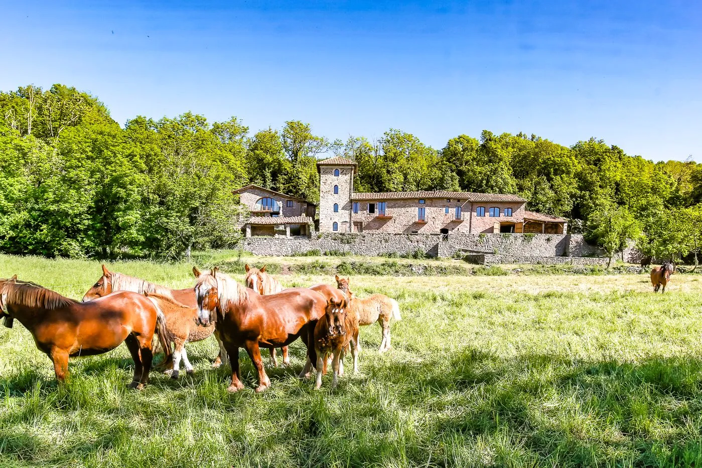 7514 - Magnificent farmhouse just 10 minutes from Camprodon