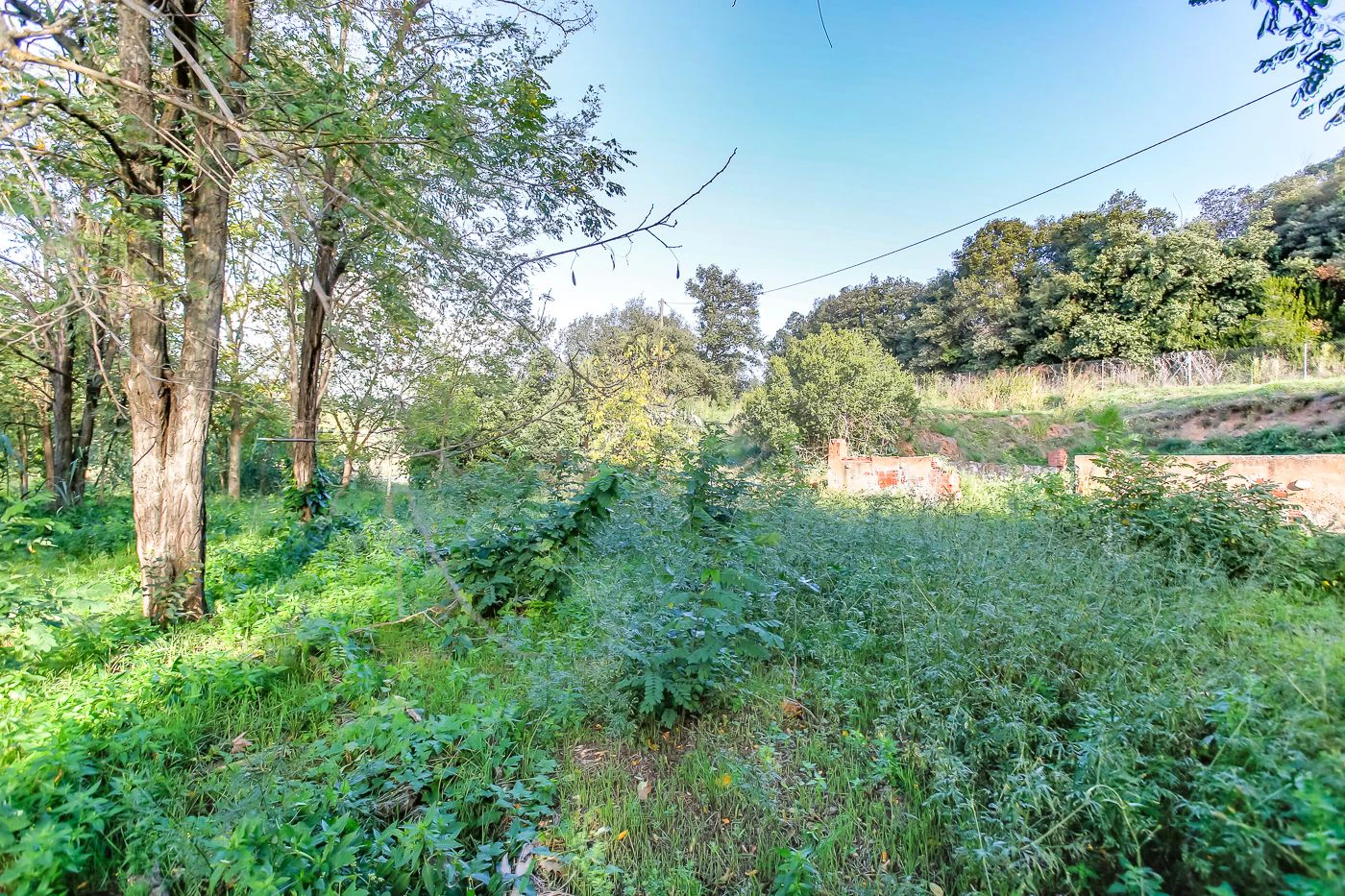 Masia para rehabilitar en la falda del parque natural del Montseny. 12 hectáreas con parte de cultivo.