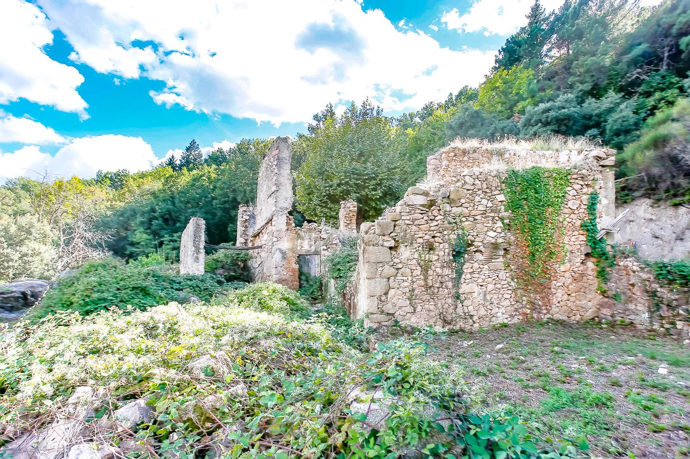 1517 - Conjunto de tres apartamentos reformados + masía para rehabilitar en parcela de 20 ha.