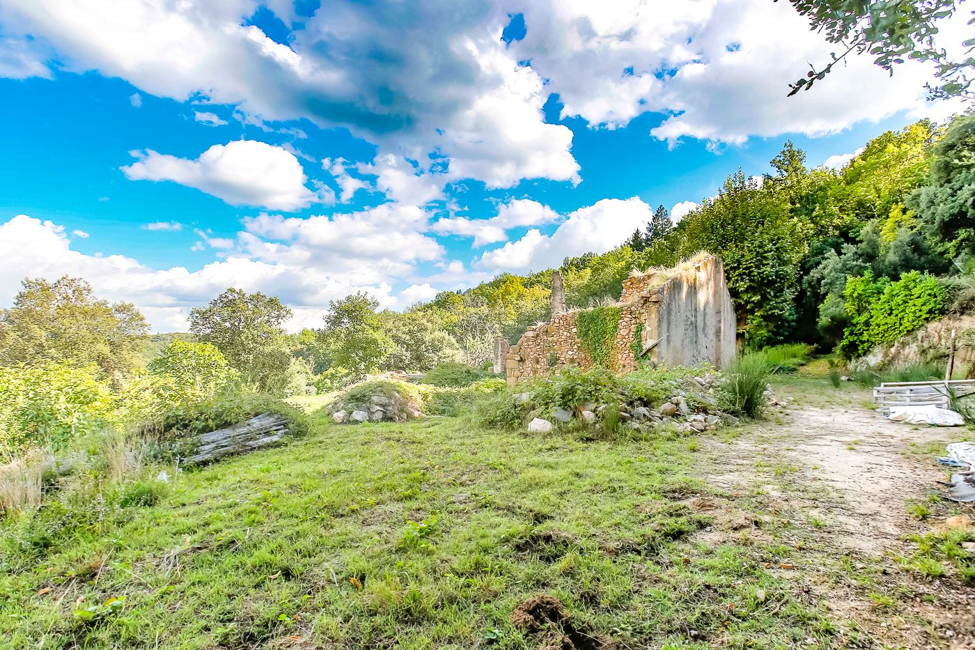 1517 - Conjunto de tres apartamentos reformados + masía para rehabilitar en parcela de 20 ha.