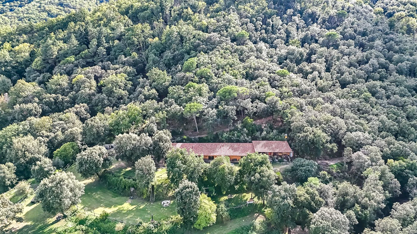 1517 - Conjunto de tres apartamentos reformados + masía para rehabilitar en parcela de 20 ha.