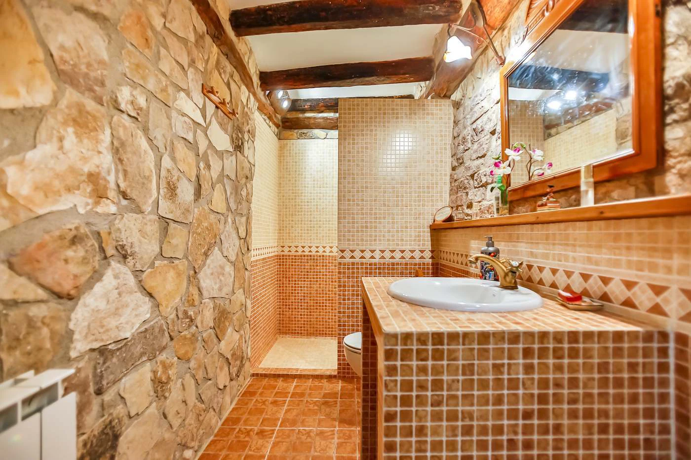 4418 - Spectacular farm for sale