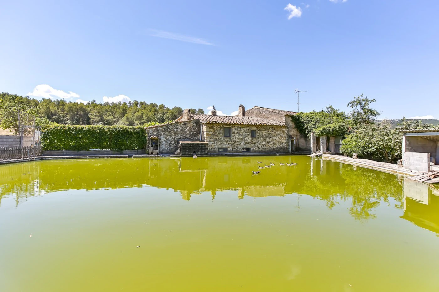 4418 - Spectacular farm for sale