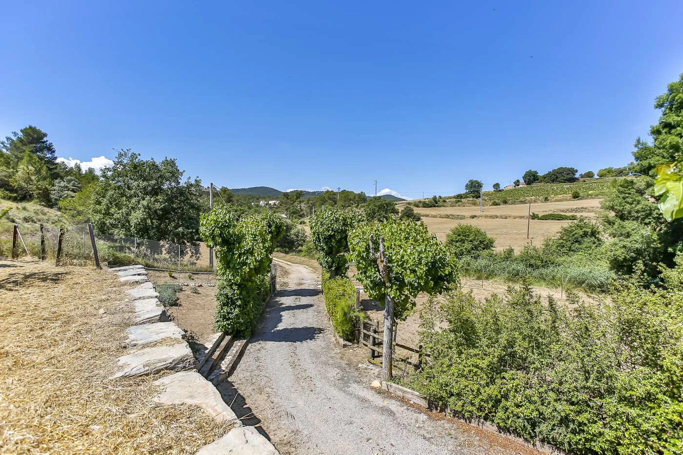 4418 - Spectacular farm for sale
