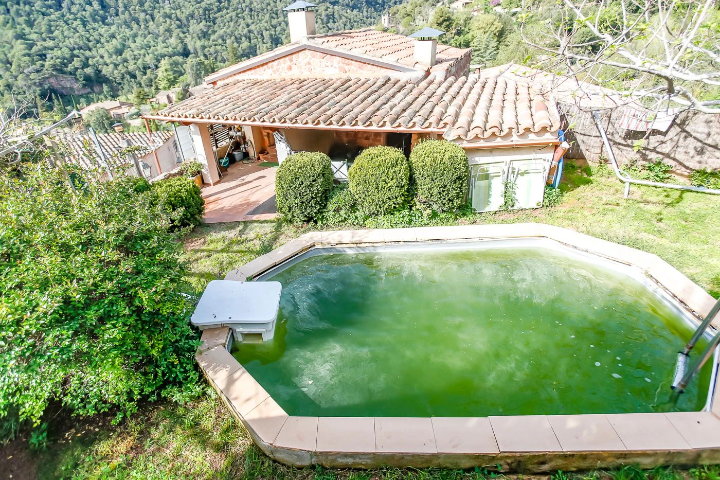 Unique opportunity with two independent homes and a small pool.