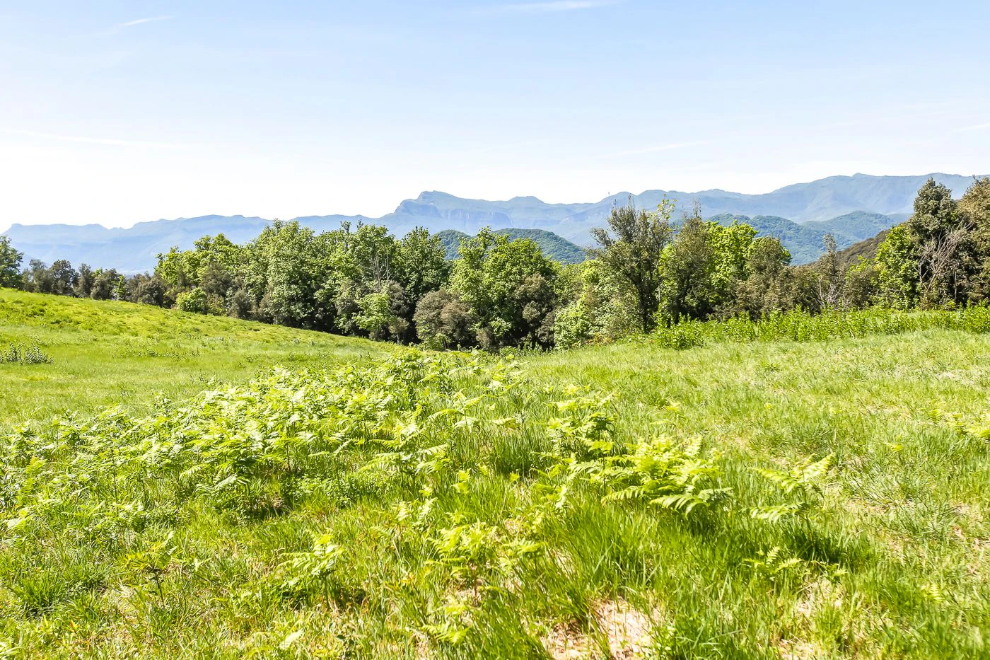 6903 - Masía en la Garrotxa con 143 hectáreas de terreno