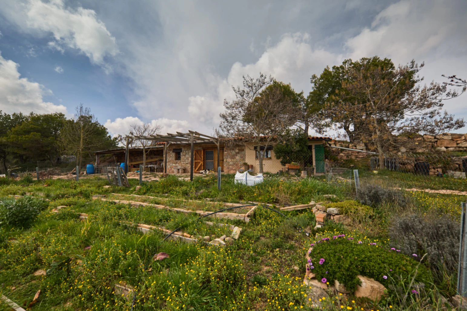 5478 - Finca amb masia a reformar a Argençola
