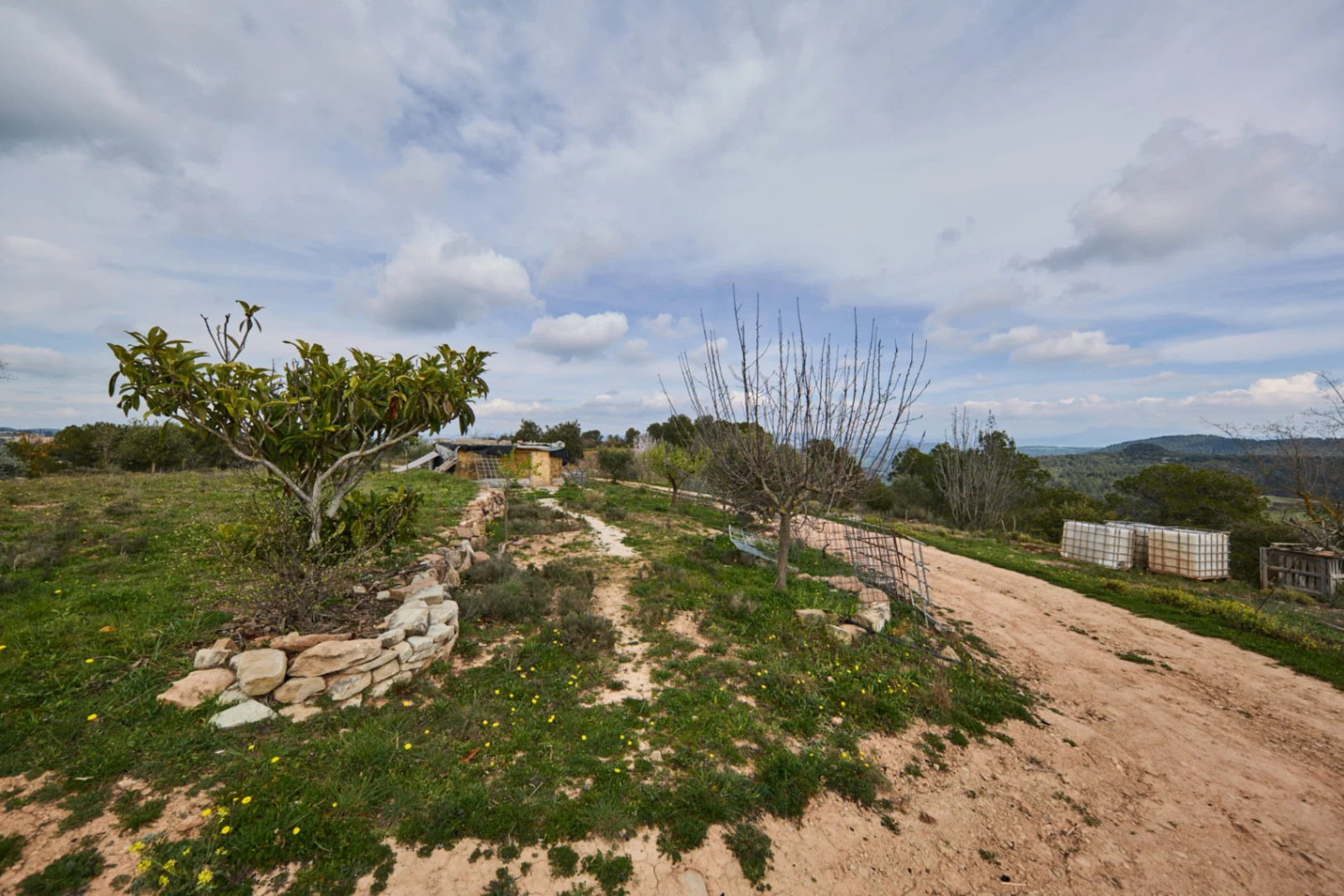 5478 - Finca amb masia a reformar a Argençola
