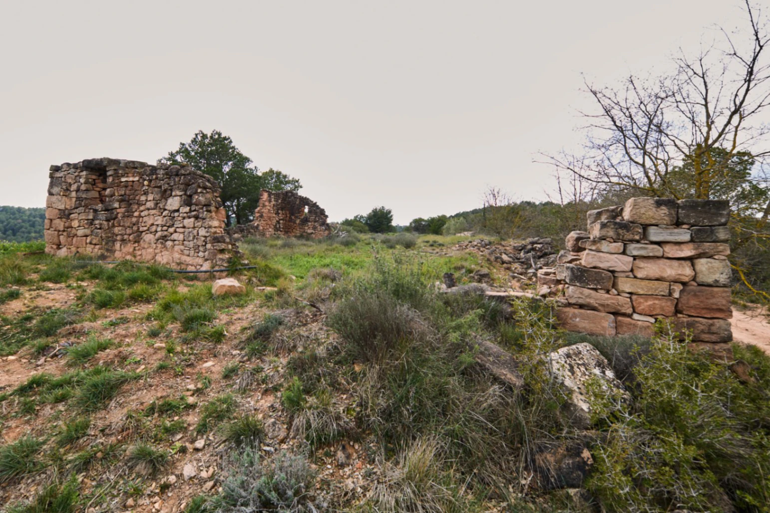 5478 - Finca amb masia a reformar a Argençola