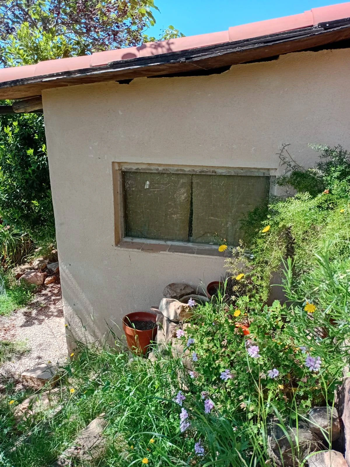 5478 - Finca amb masia a reformar a Argençola