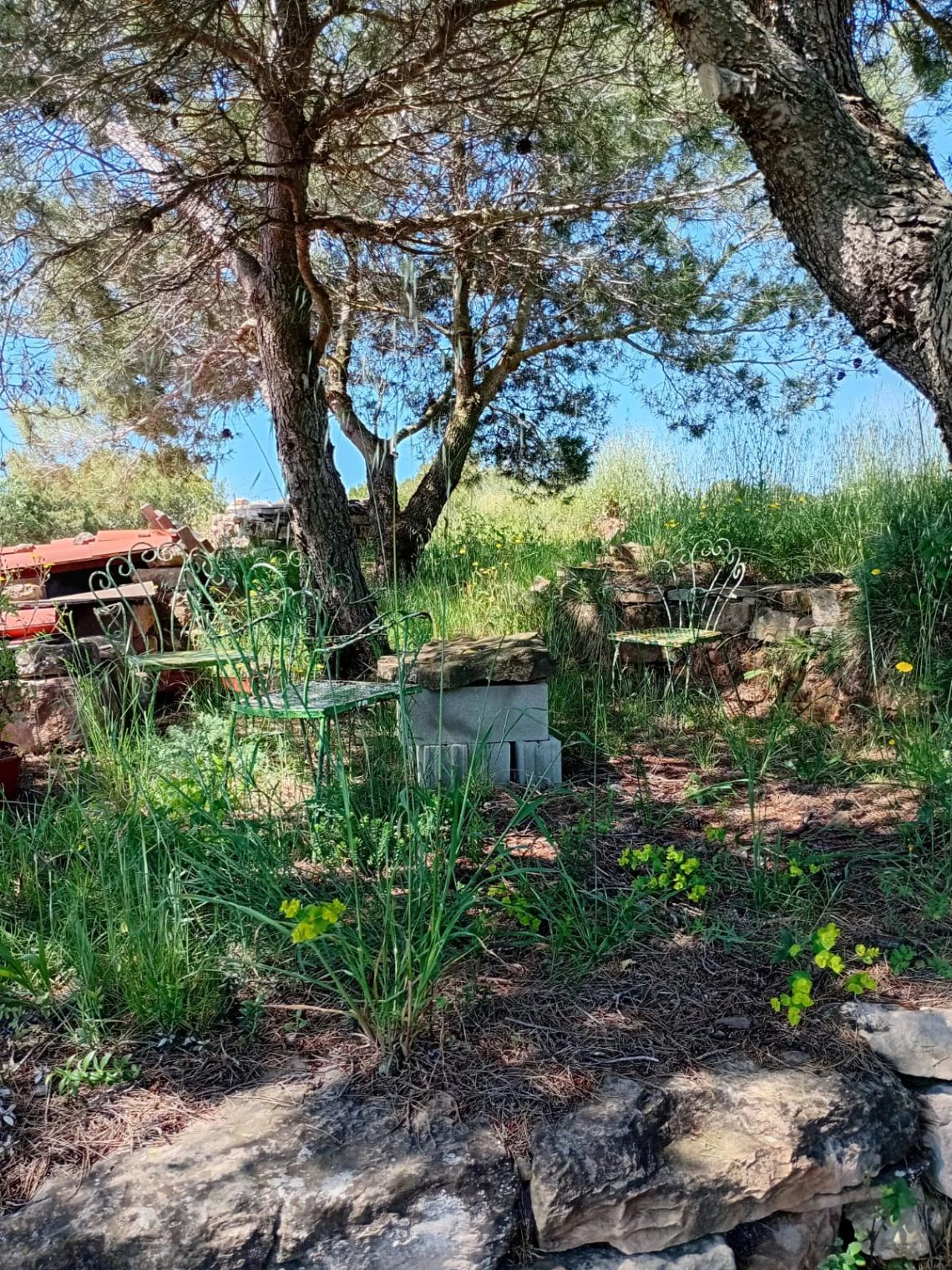5478 - Finca amb masia a reformar a Argençola