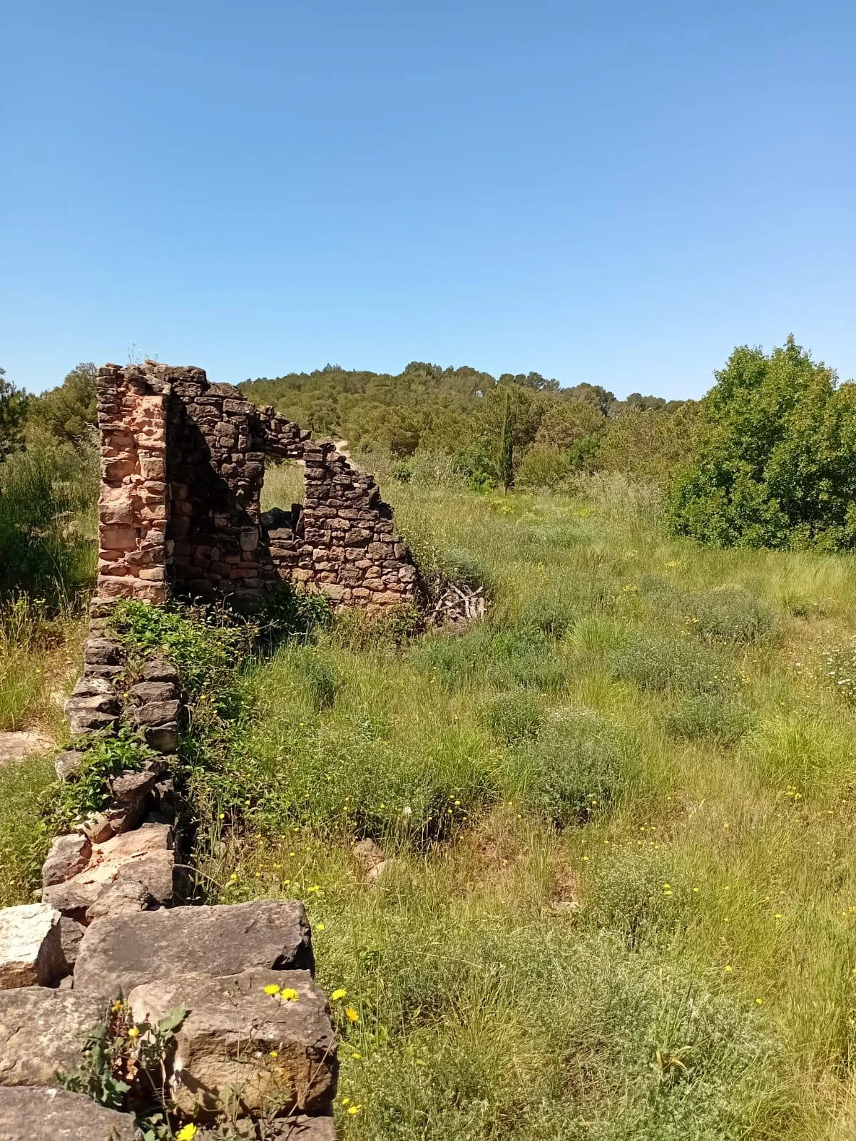 5478 - Finca amb masia a reformar a Argençola
