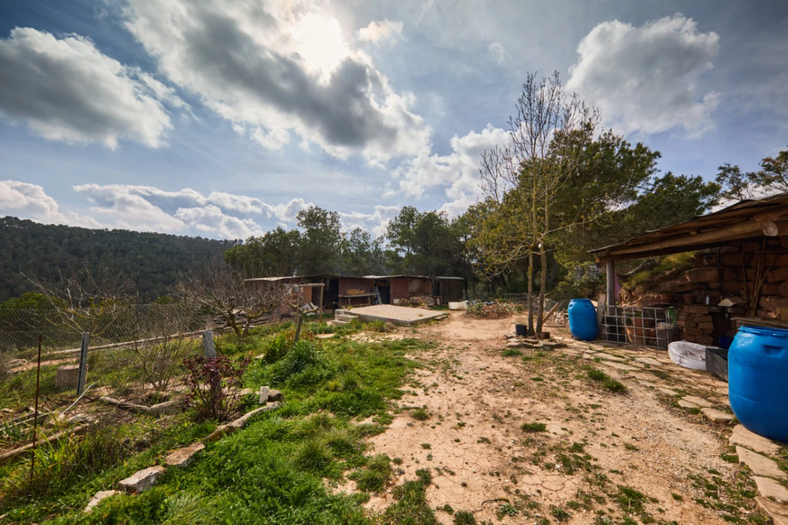 5478 - Finca amb masia a reformar a Argençola