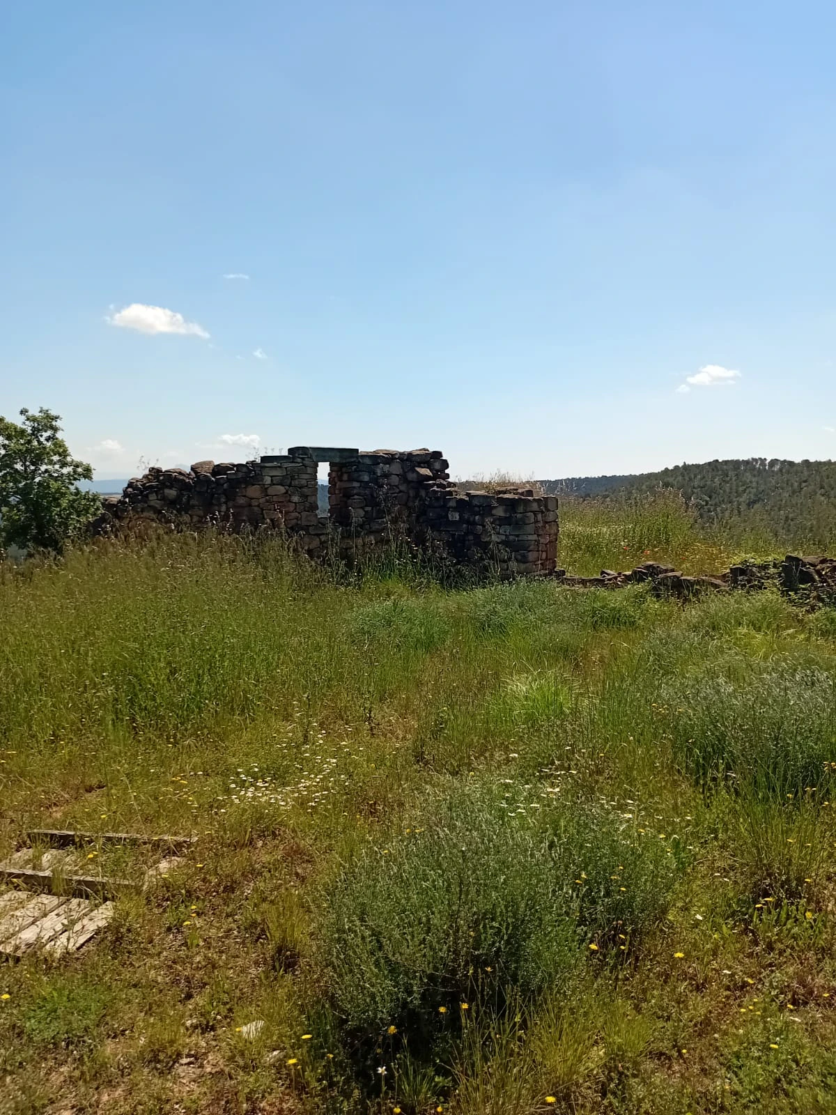 5478 - Finca amb masia a reformar a Argençola