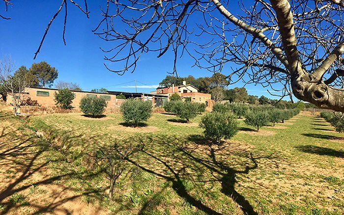 3878 - Country house in a very quiet environment