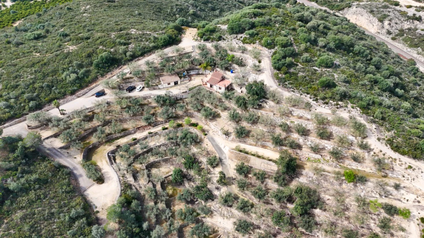 Landhaus zwischen Olivenbäumen