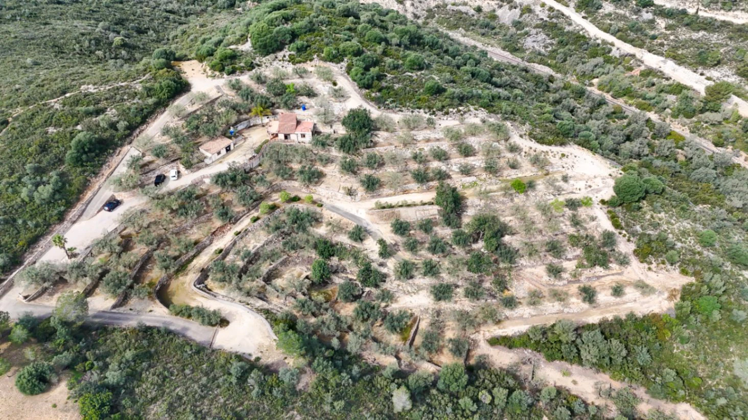 Landhaus zwischen Olivenbäumen