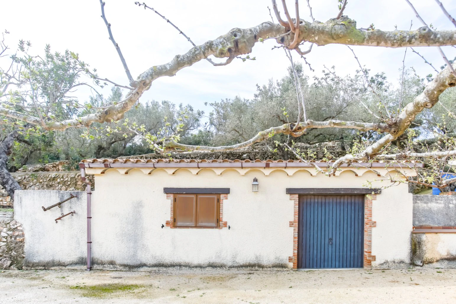 Landhaus zwischen Olivenbäumen