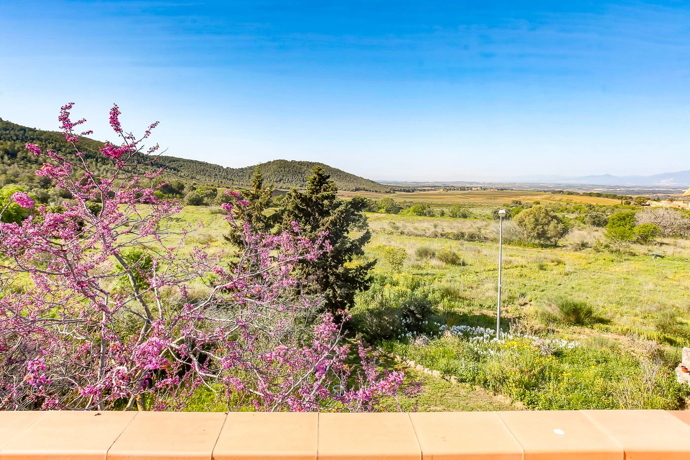 8749 - Masía con licencia turística en venta en Vila-Rodona