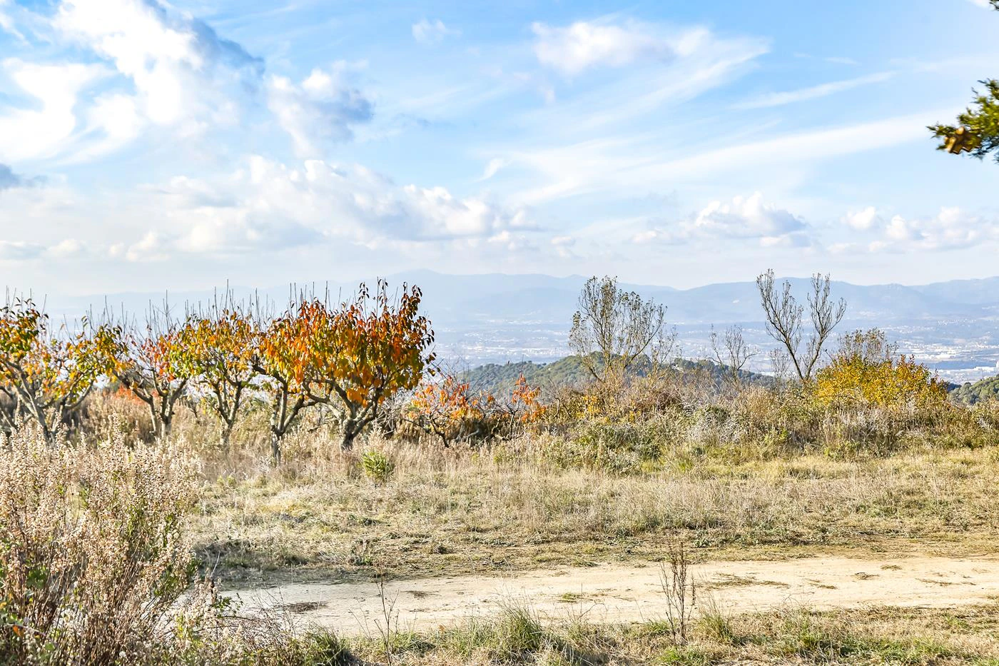 5904 - Country house in Vilassar with 40 hectares.