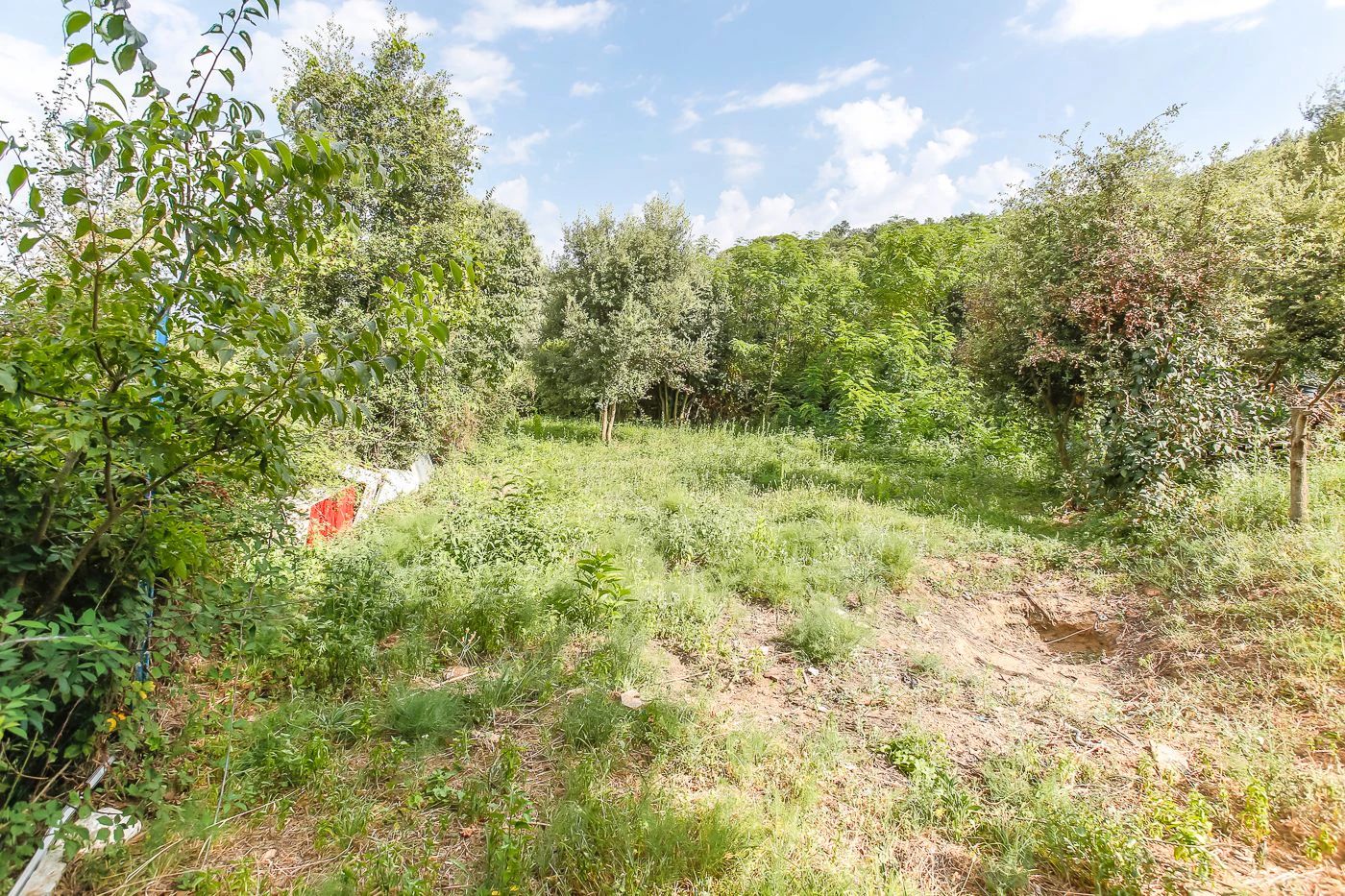 8530 - Finca rústica d’alzina surera per a la producció de suro