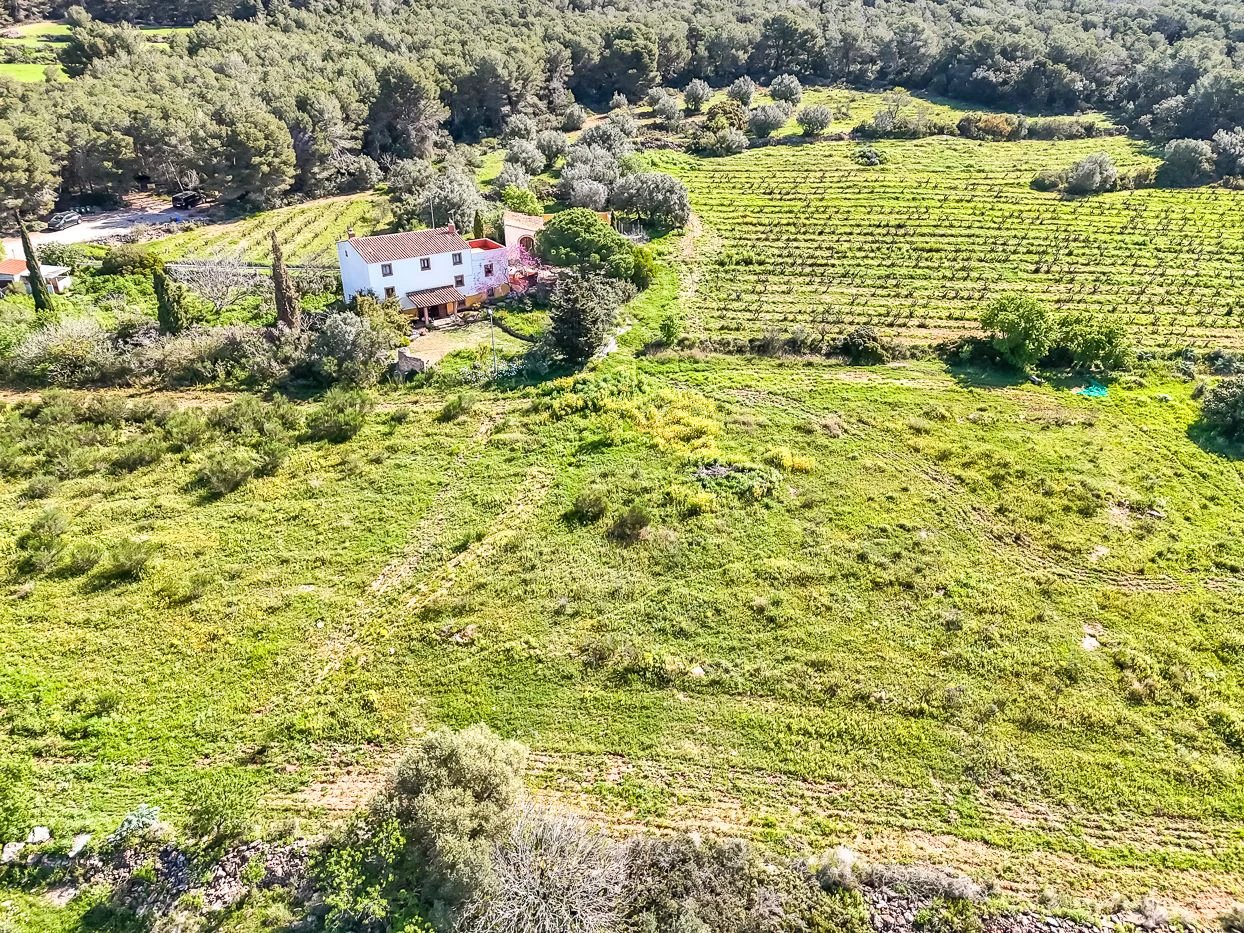 8749 - Masía con licencia turística en venta en Vila-Rodona