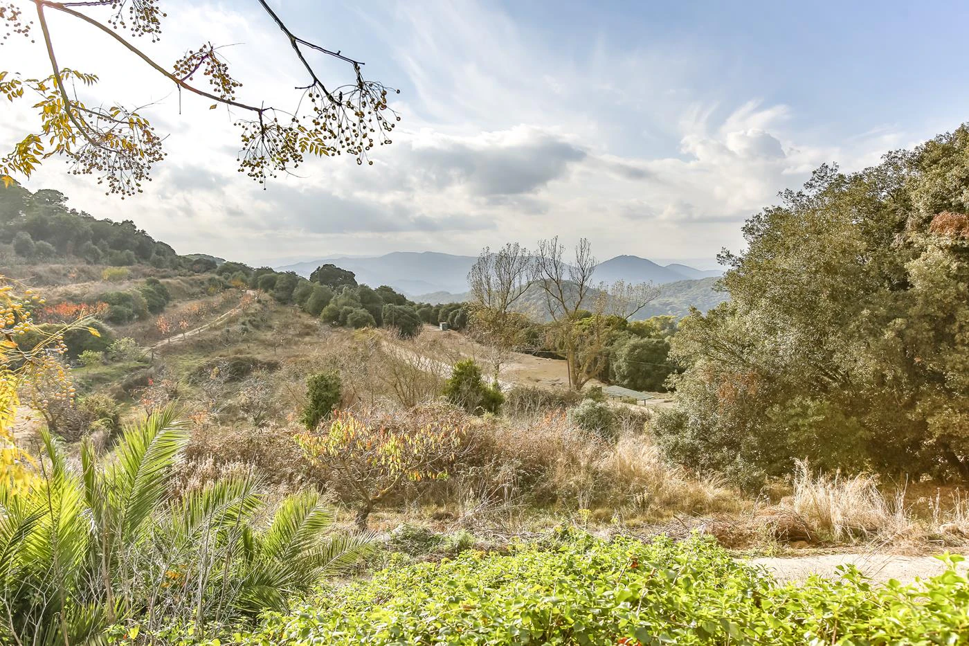 5904 - Country house in Vilassar with 40 hectares.