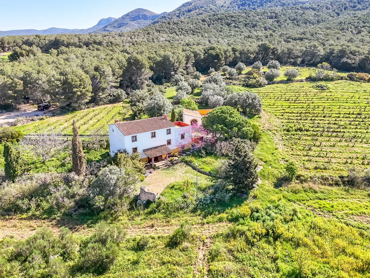 8749 - Masía con licencia turística en venta en Vila-Rodona