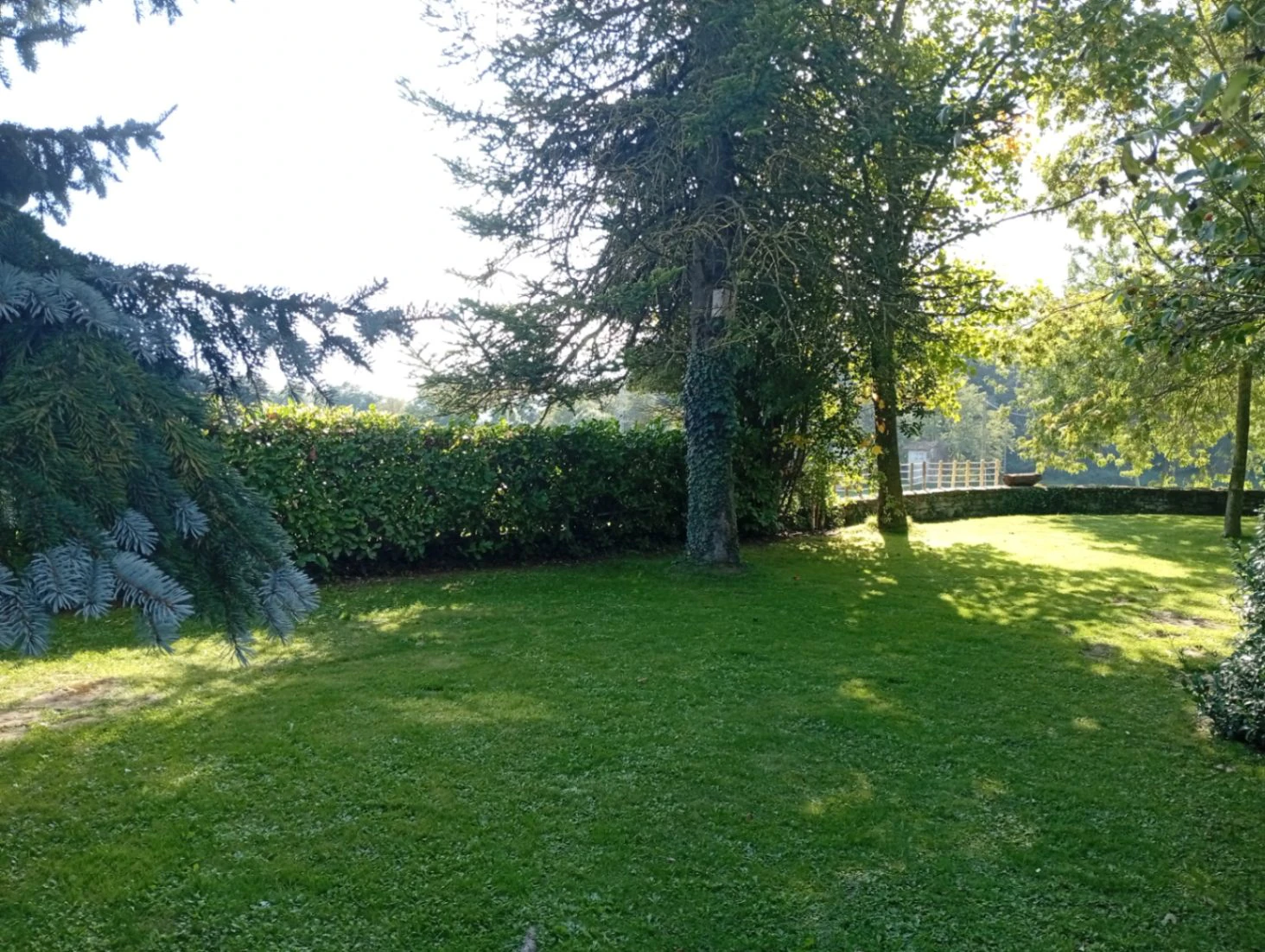 2239 - Masía rehabilitada en Rupit