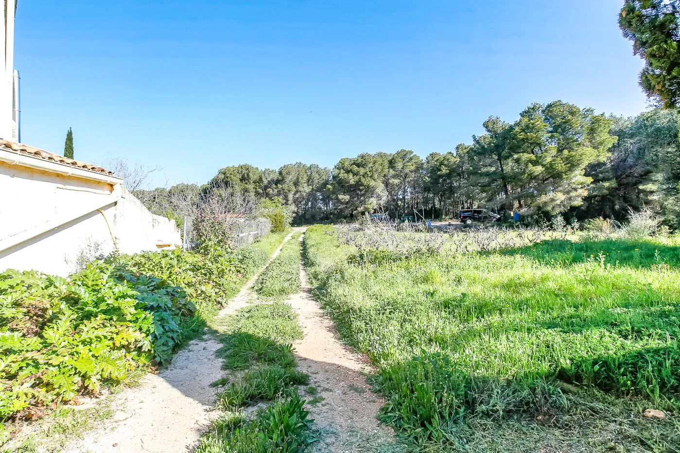 8749 - Masía con licencia turística en venta en Vila-Rodona