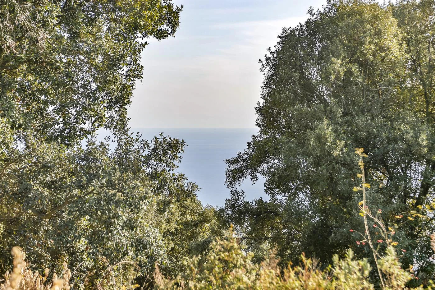 5904 - Country house in Vilassar with 40 hectares.