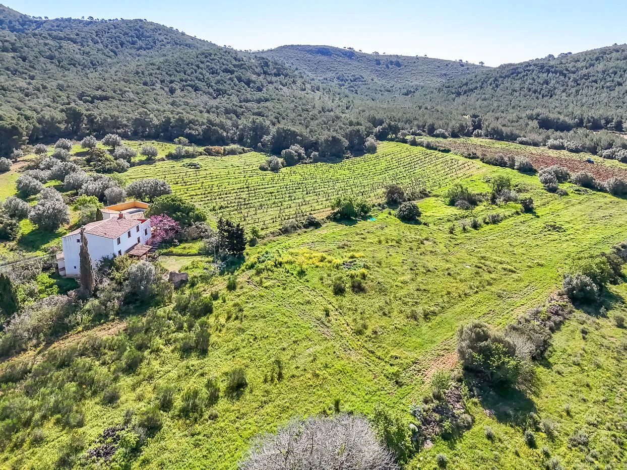 8749 - Masía con licencia turística en venta en Vila-Rodona
