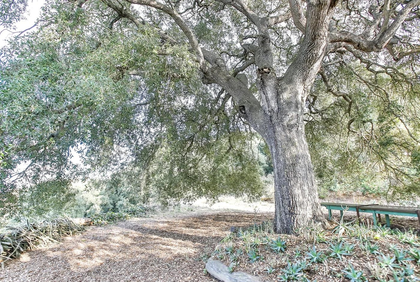 5904 - Country house in Vilassar with 40 hectares.