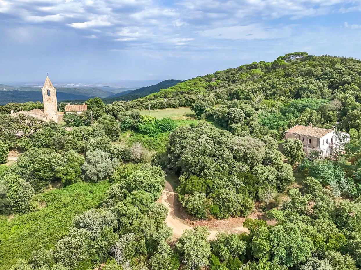 8530 - Finca rústica d’alzina surera per a la producció de suro