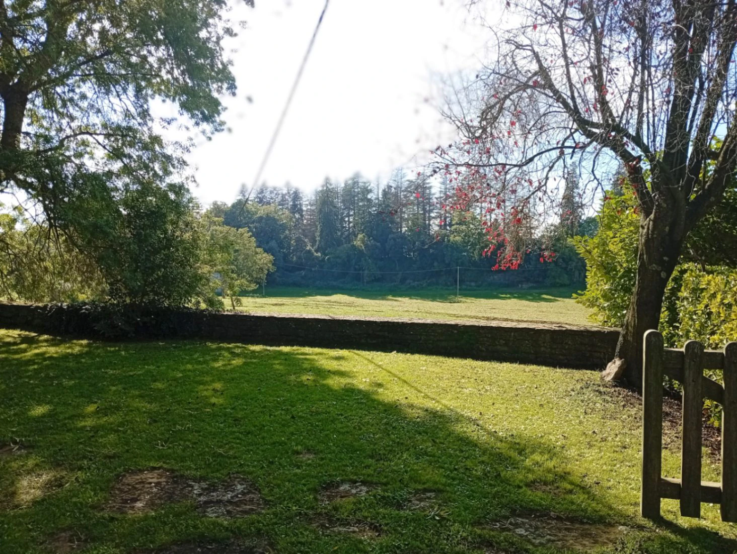 2239 - Masía rehabilitada en Rupit