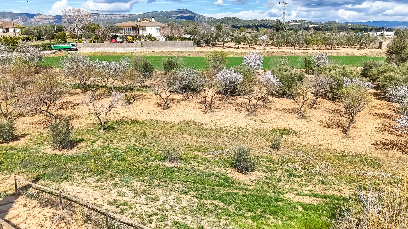 9777 - Preciosa masía en venta en Santa Eulalia de Ronsana