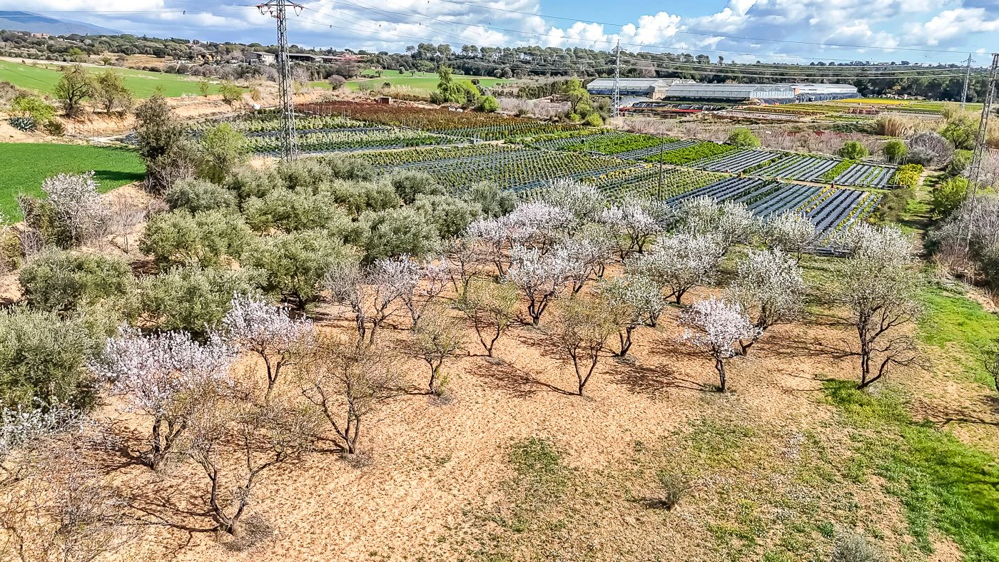 9777 - Preciosa masía en venta en Santa Eulalia de Ronsana