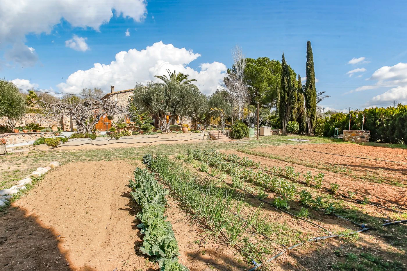 9777 - Preciosa masía en venta en Santa Eulalia de Ronsana