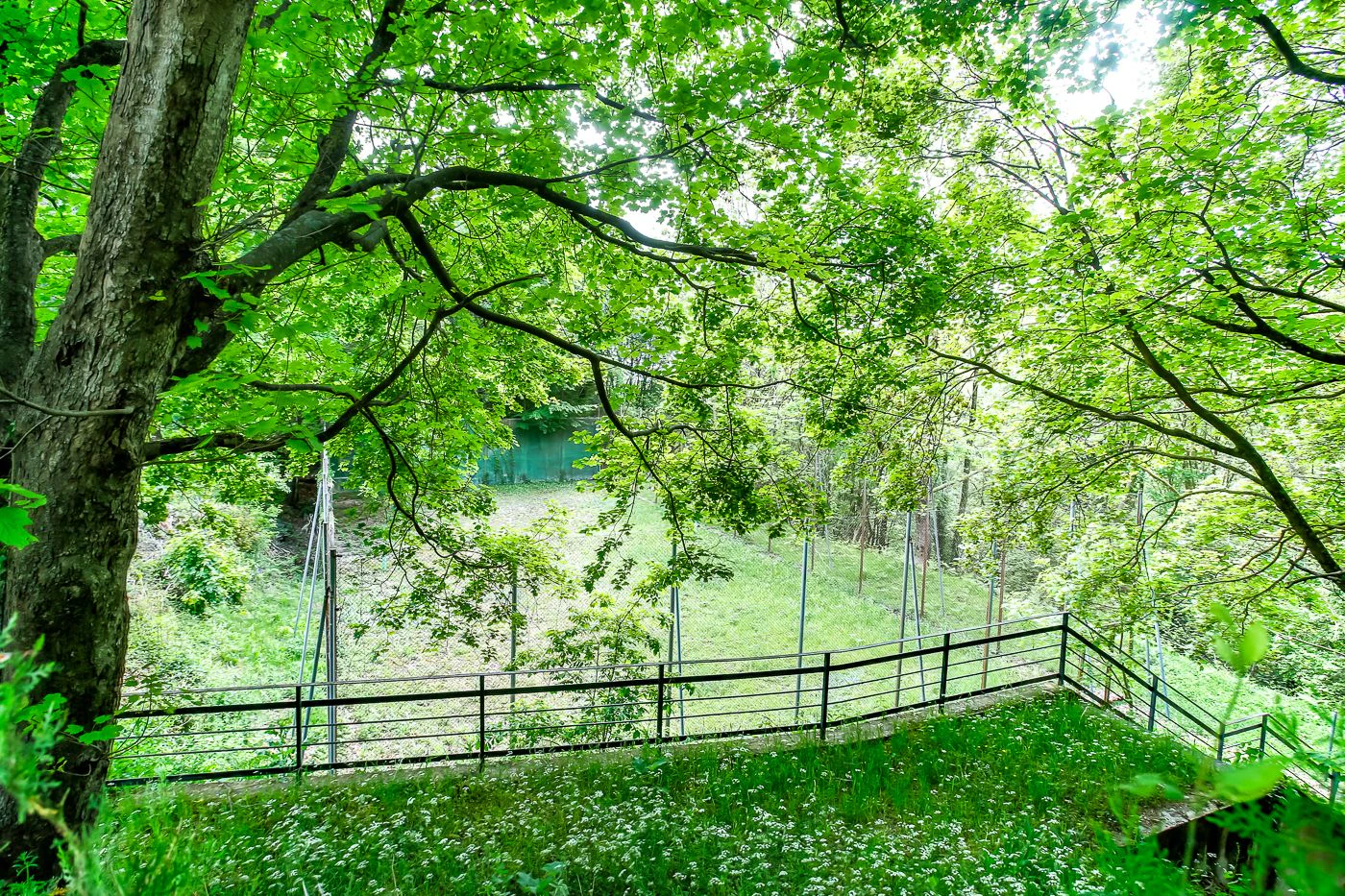 6863 - Preciosa masia en el corazón del parque natural del Montseny