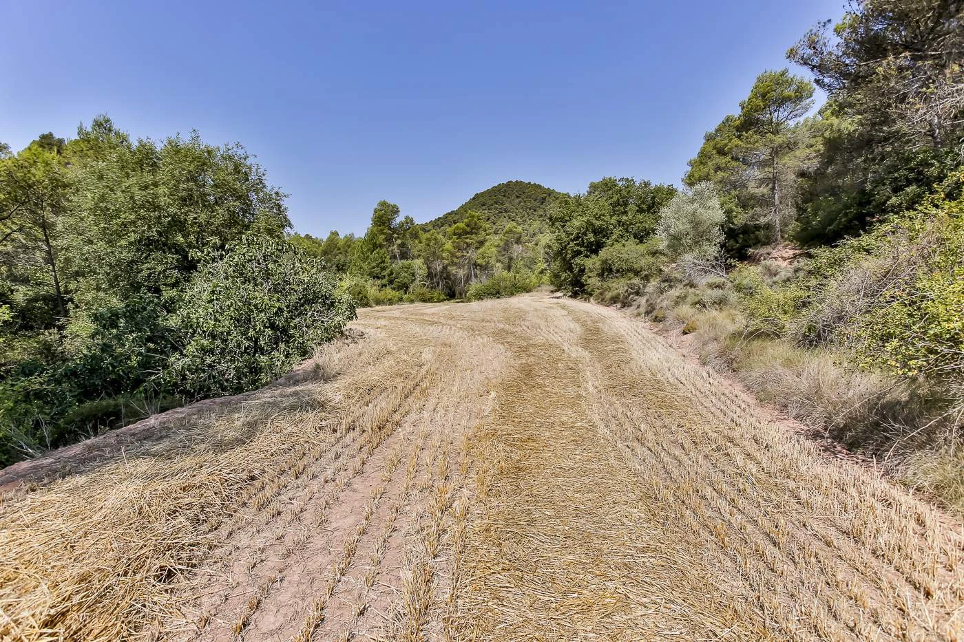 5930 - Masía en venta cerca de Santa Maria de Miralles
