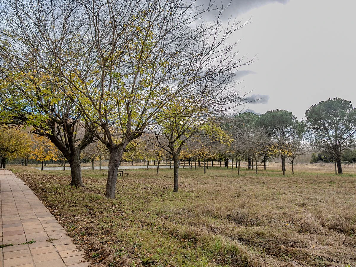 8971 - Finca con vivienda y edificaciones destinadas a casa de colonias o usos afines