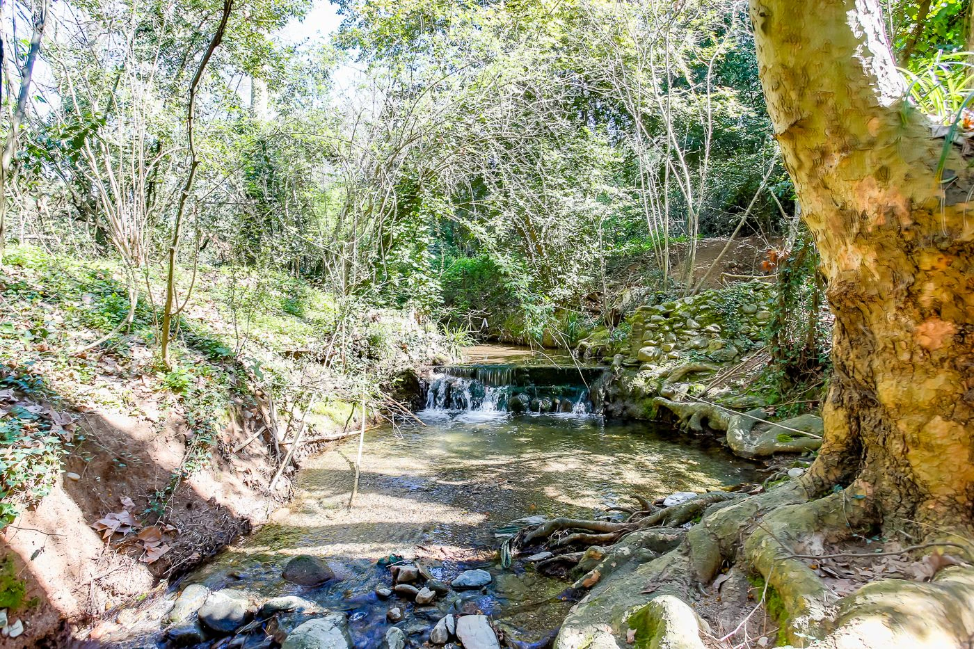 1238 - Preciosa finca  en una una de las mejores zonas de la provincia de BArcelona