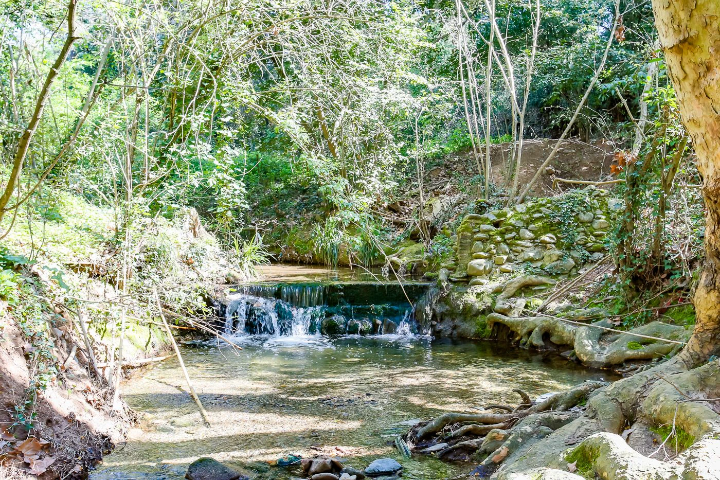 1238 - Preciosa finca  en una una de las mejores zonas de la provincia de BArcelona