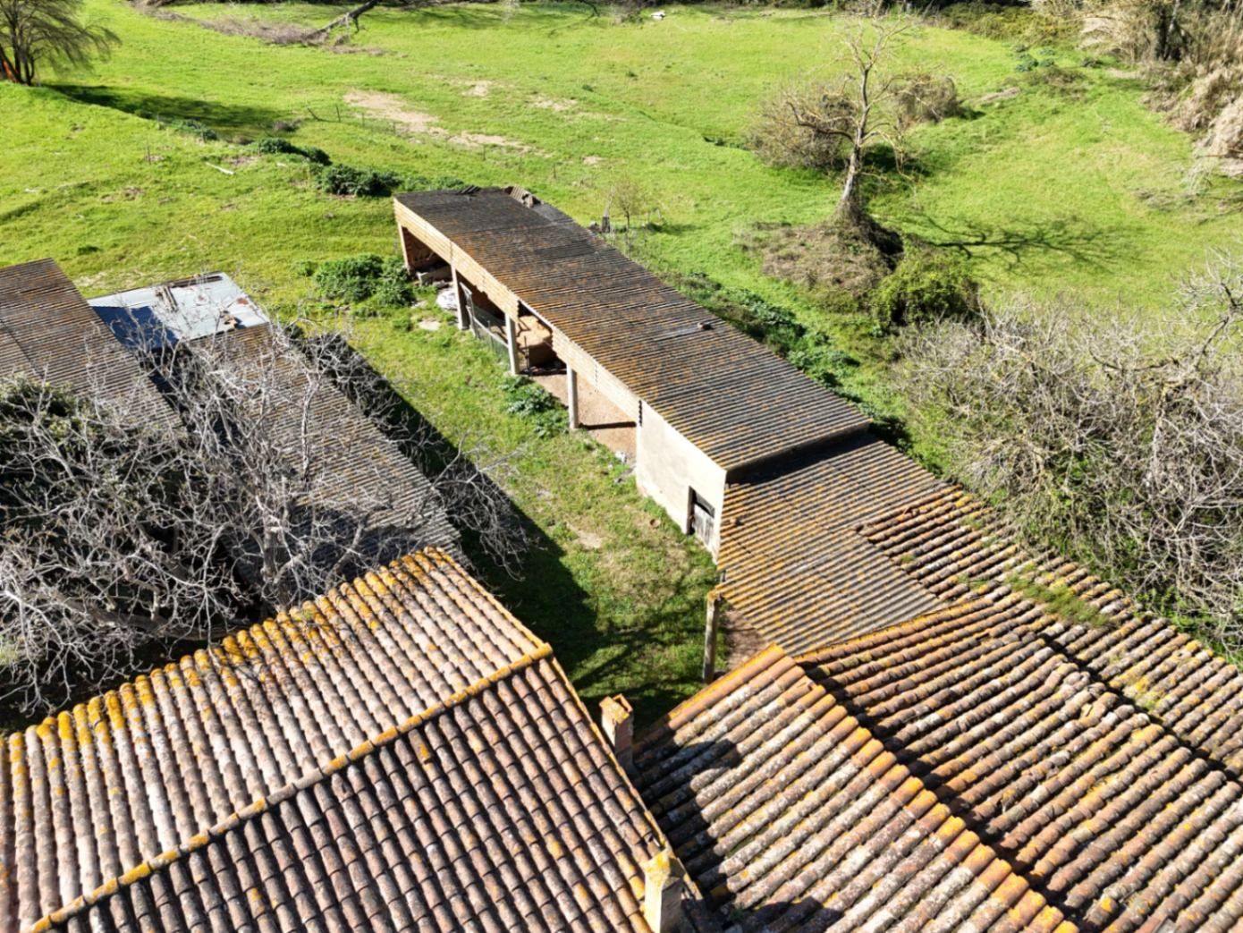 1238 - Preciosa finca  en una una de las mejores zonas de la provincia de BArcelona