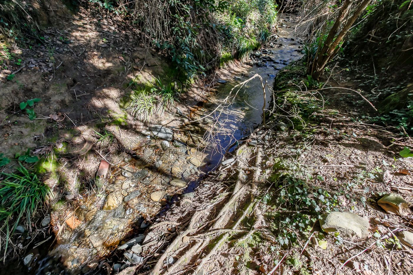 1238 - Preciosa finca  en una una de las mejores zonas de la provincia de BArcelona