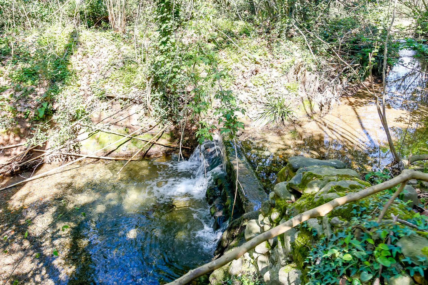 1238 - Preciosa finca  en una una de las mejores zonas de la provincia de BArcelona