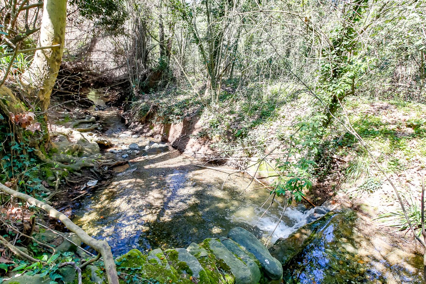 1238 - Preciosa finca  en una una de las mejores zonas de la provincia de BArcelona