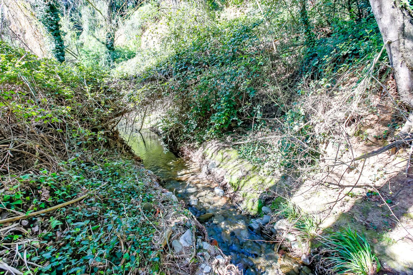 1238 - Preciosa finca  en una una de las mejores zonas de la provincia de BArcelona
