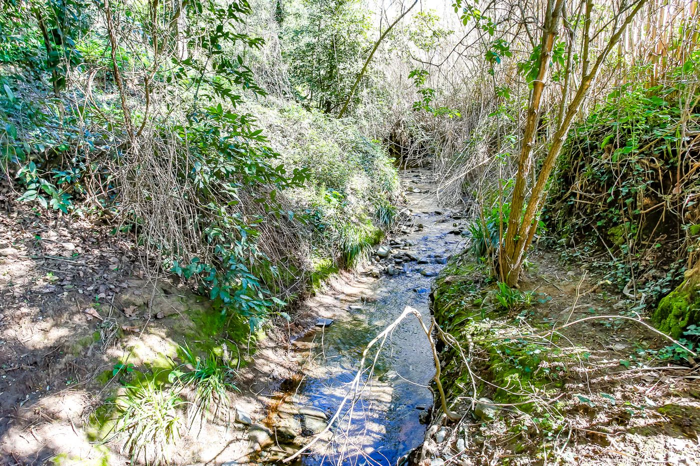 1238 - Preciosa finca  en una una de las mejores zonas de la provincia de BArcelona