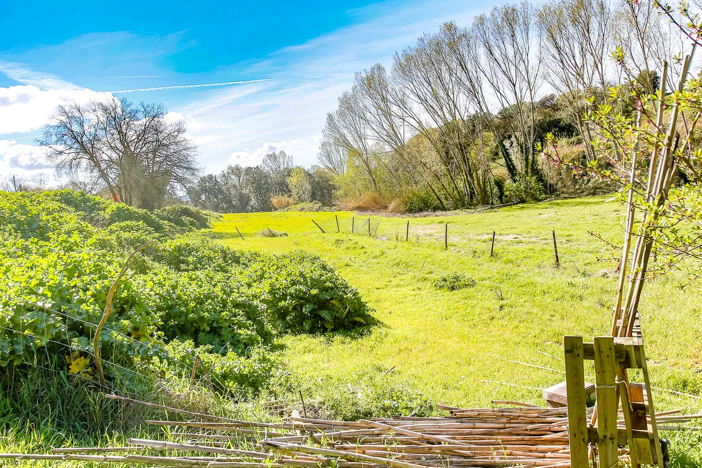 1238 - Preciosa finca  en una una de las mejores zonas de la provincia de BArcelona